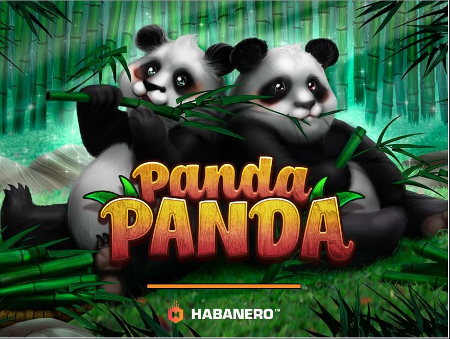 Slot Online Panda Panda Review